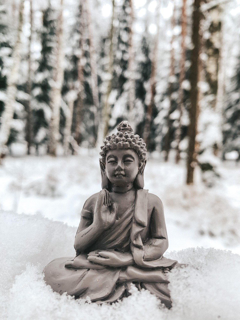 winter, snow, buddha, meditation, buddhism, buddha purnima, nature